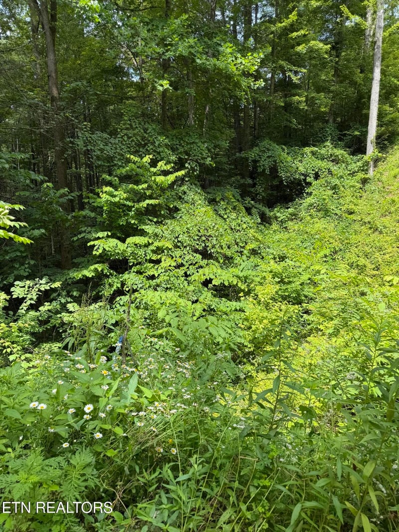 0 Butternut Ln Lot 56, Sevierville, TN 37876