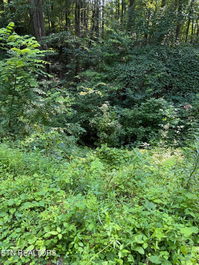 0 Butternut Ln Lot 56, Sevierville, TN 37876