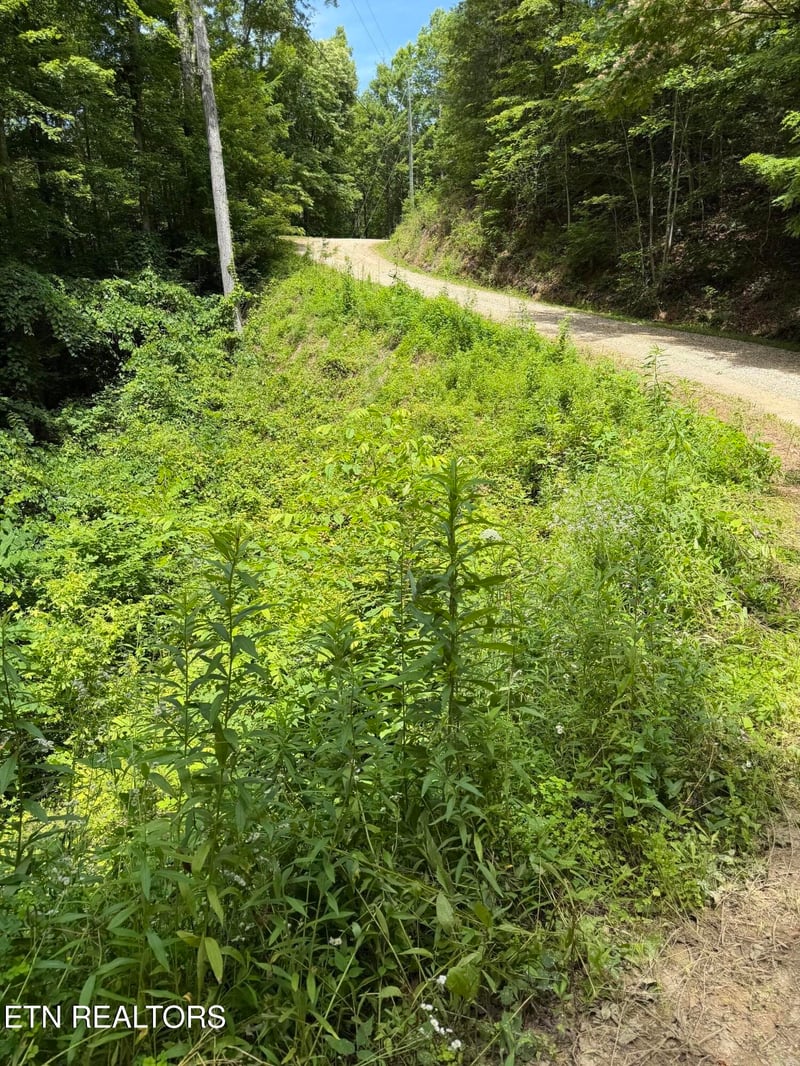 0 Butternut Ln Lot 56, Sevierville, TN 37876