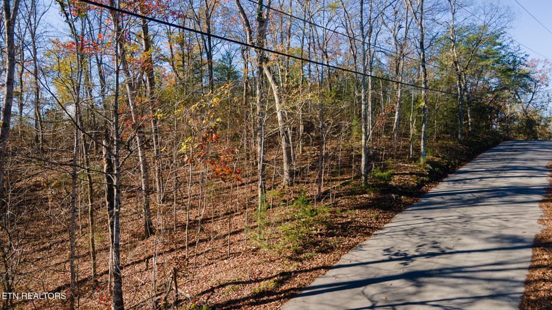 0 Moonside Ln Lot 4, Sevierville, TN 37876