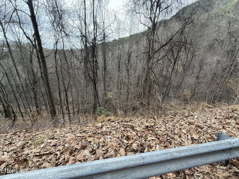 34 Alpine Dr Lot 34, Sevierville, TN 37876