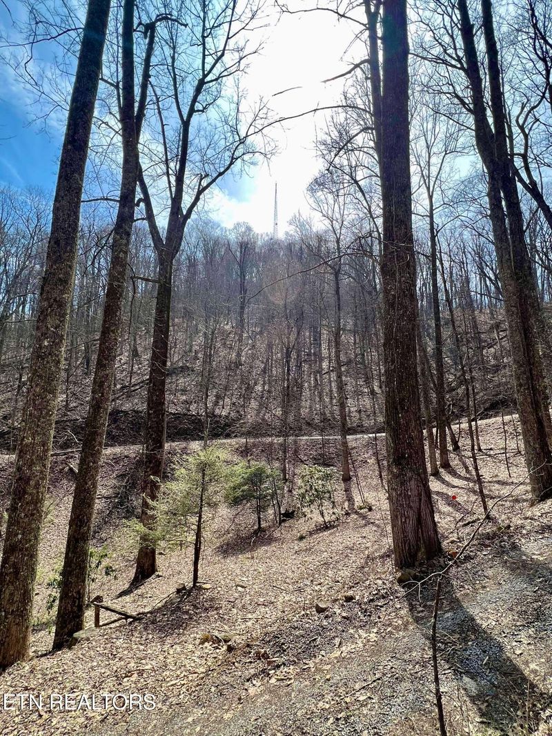 0 Bluff Mountain Rd Lot 120302, Sevierville, TN 37862