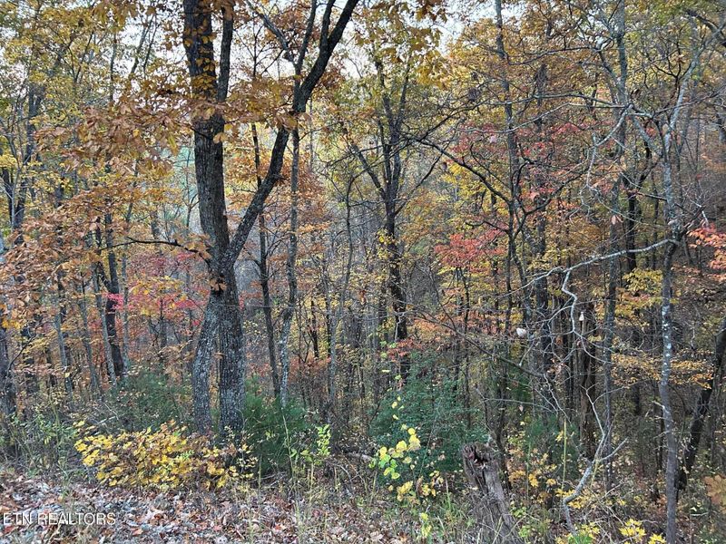 1 Sunset Rd, Sevierville, TN 37862