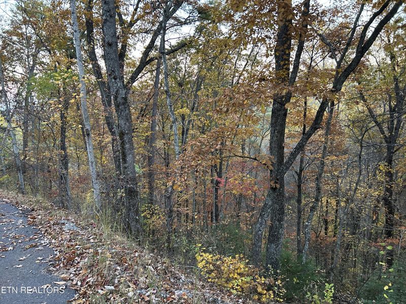 1 Sunset Rd, Sevierville, TN 37862