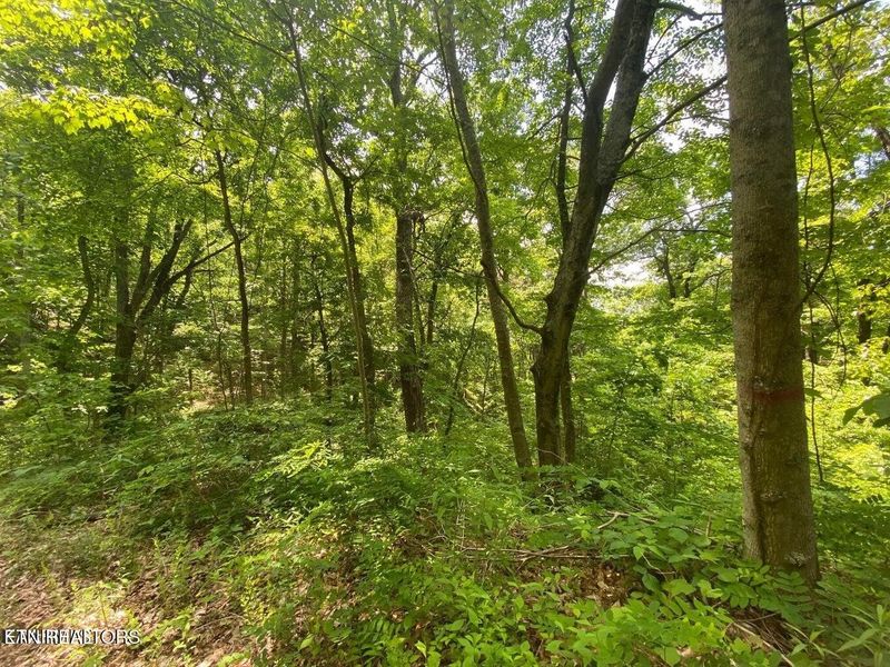 61 High St Lot 61, Sevierville, TN 37876