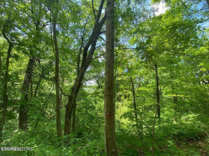 61 High St Lot 61, Sevierville, TN 37876