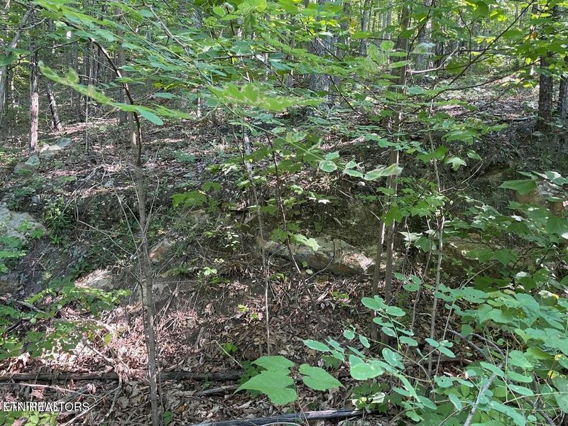 22 Elderberry Dr Lot 22, Sevierville, TN 37876