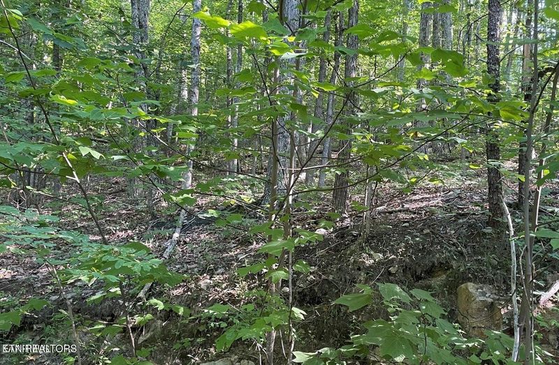 22 Elderberry Dr Lot 22, Sevierville, TN 37876