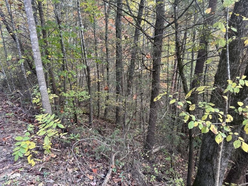 1781 Rich Mtn Way Lot 40, Sevierville, TN 37876