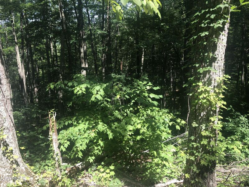 19 Low Sunset Dr Lot 19, Sevierville, TN 37876
