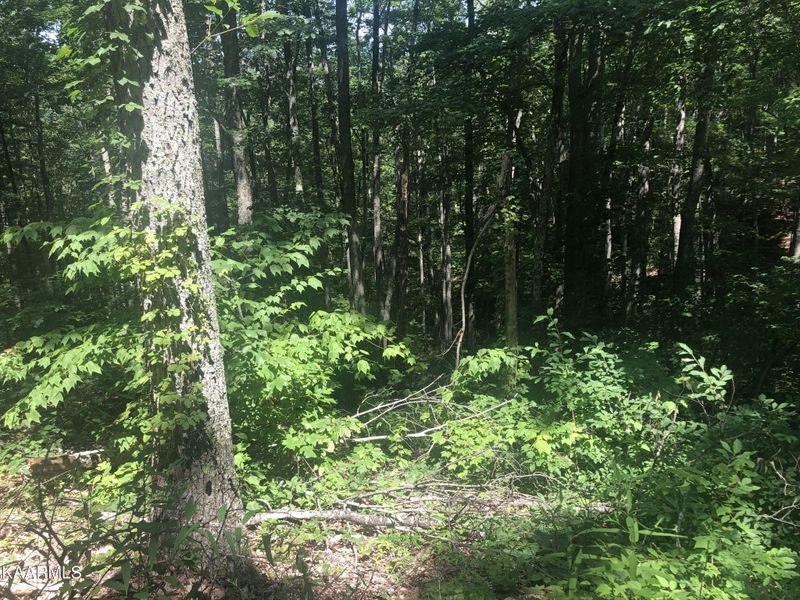 19 Low Sunset Dr Lot 19, Sevierville, TN 37876