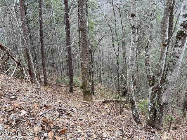 0 Sunset Rd Lot 0004, Sevierville, TN 37862