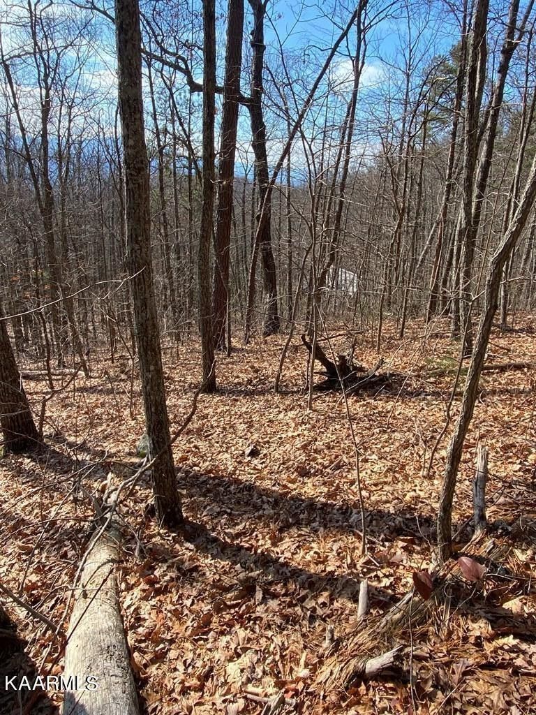 0 18 19 20 Swann Saddle, Sevierville, TN 37876
