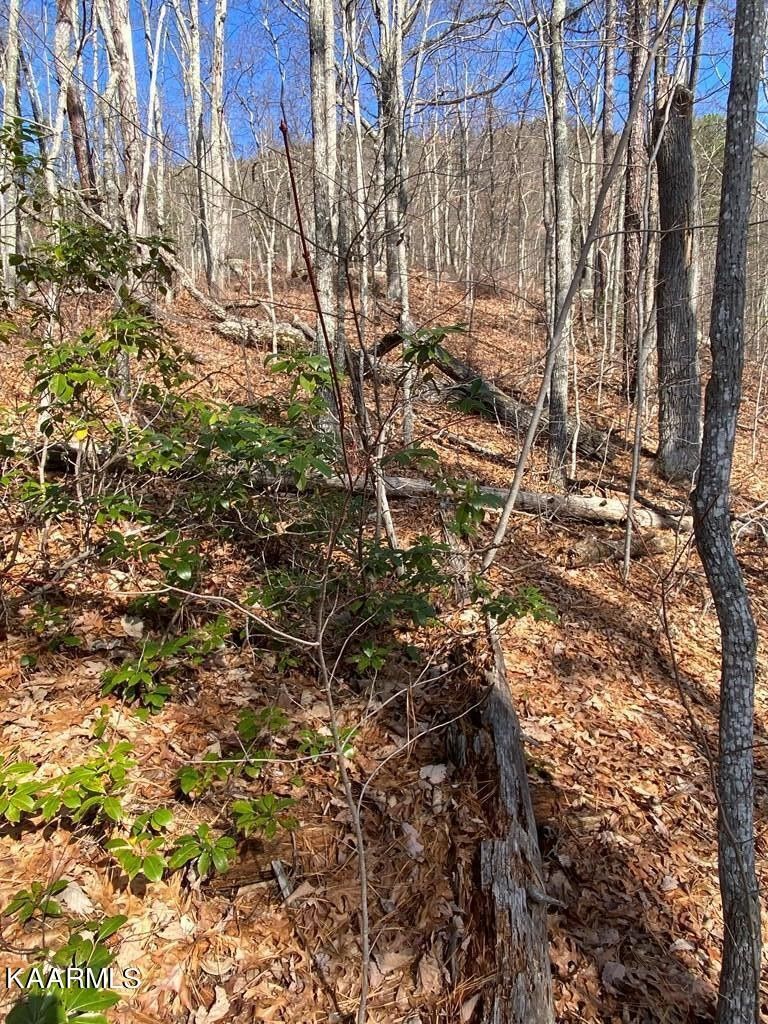 0 18 19 20 Swann Saddle, Sevierville, TN 37876