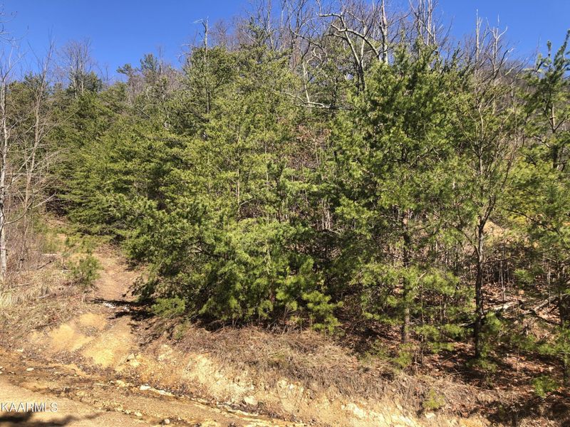 50 High St Lot 50, Sevierville, TN 37876