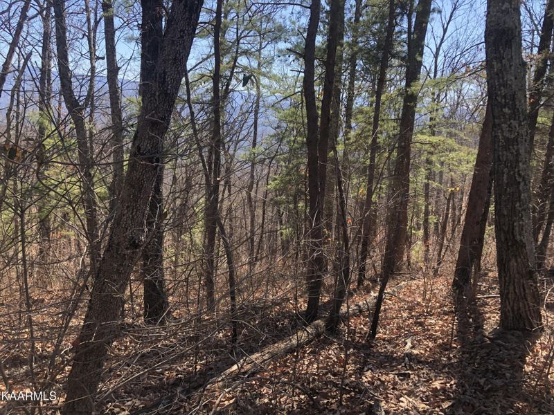 2 Chestnut Ridge Ct Lot 2, Sevierville, TN 37876