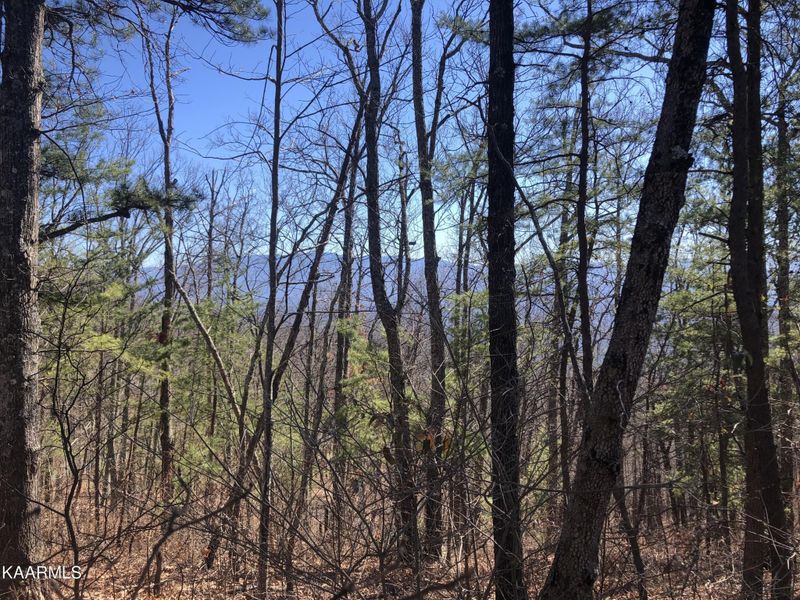 2 Chestnut Ridge Ct Lot 2, Sevierville, TN 37876