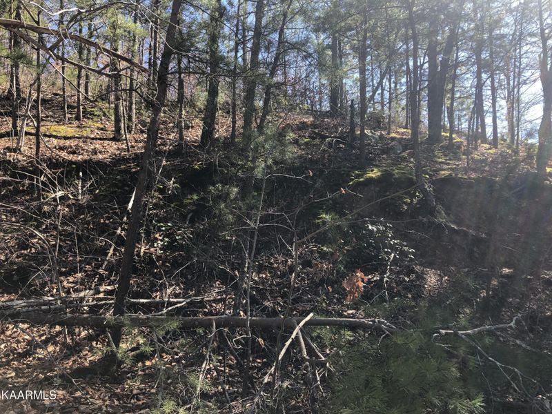 49 High St Lot 49, Sevierville, TN 37876