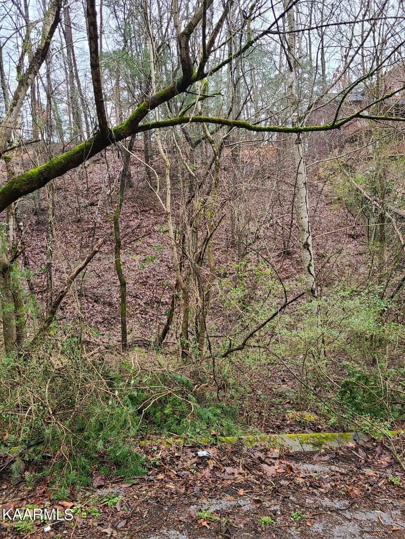 91 Chickasaw Gap Rd Lot 91, Sevierville, TN 37863