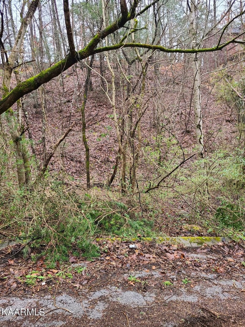 91 Chickasaw Gap Rd Lot 91, Sevierville, TN 37863