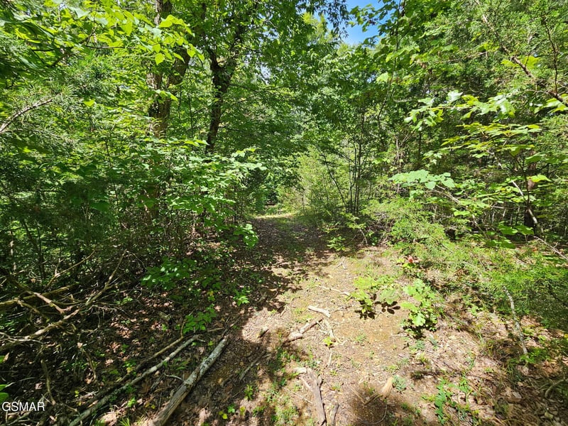 67910 Pleasure Rd Lot 8, Sevierville, TN 37876