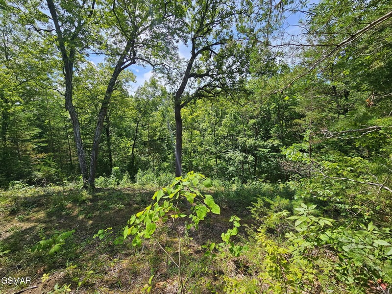 67910 Pleasure Rd Lot 8, Sevierville, TN 37876