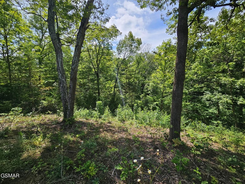 67910 Pleasure Rd Lot 8, Sevierville, TN 37876