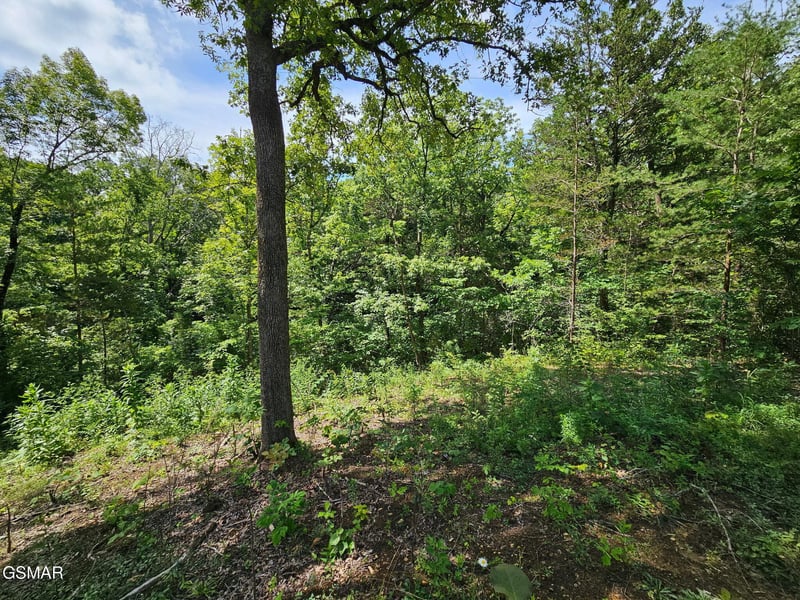 67910 Pleasure Rd Lot 8, Sevierville, TN 37876