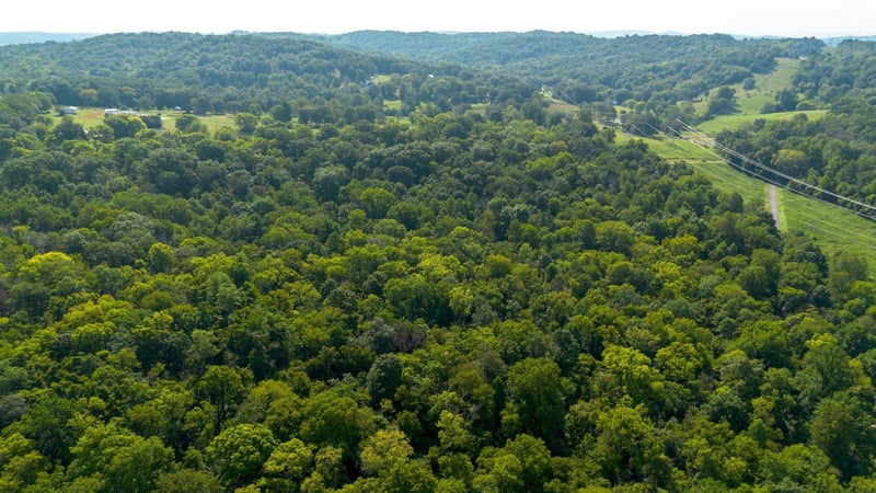 0 Center Star Rd Lot 2, Columbia, TN 38401