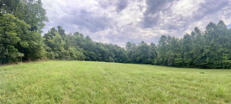 0 Pleasant Grove Rd Lot 7, Westmoreland, TN 37186