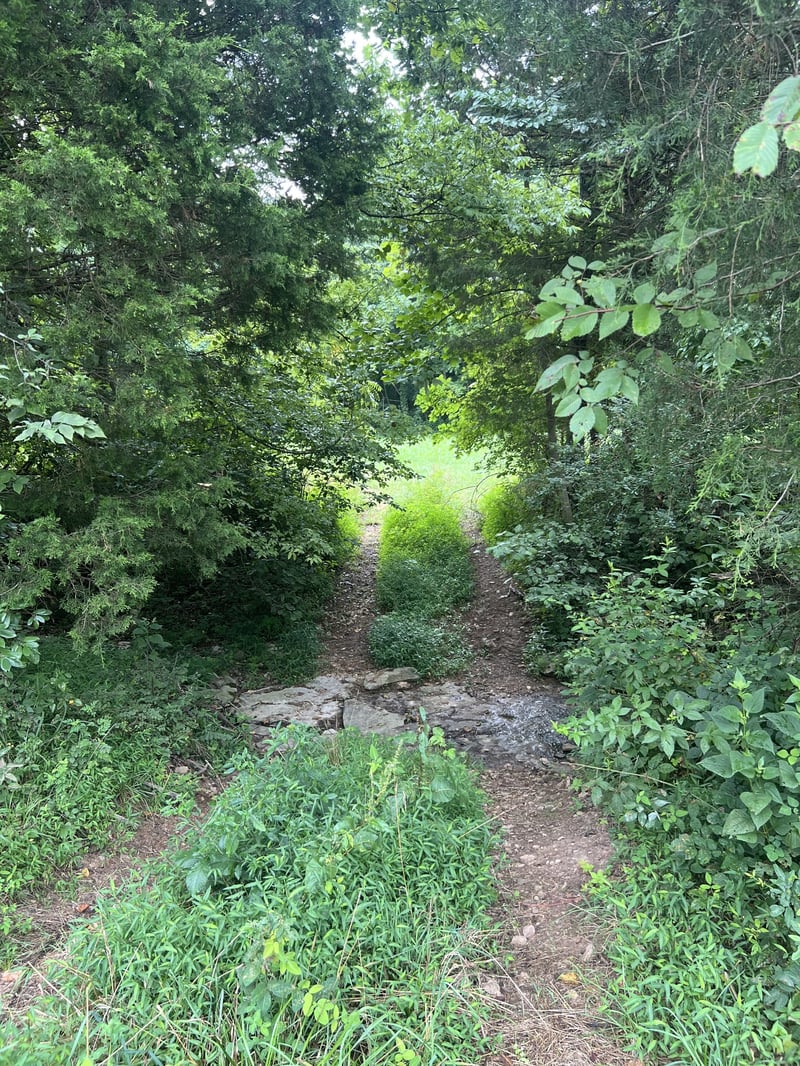 0 Pleasant Grove Rd Lot 7, Westmoreland, TN 37186
