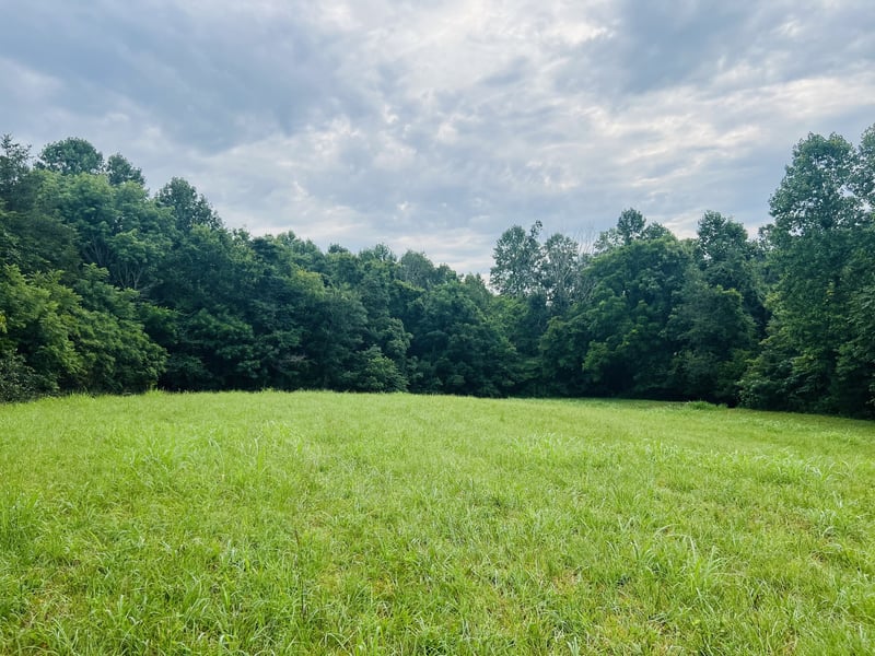 0 Pleasant Grove Rd Lot 7, Westmoreland, TN 37186