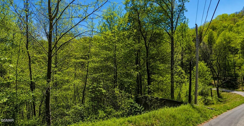1811 Beach Front Dr Lot 1915, Sevierville, TN 37876