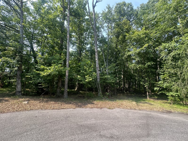 0 S Pinson Dr, White House, TN 37188