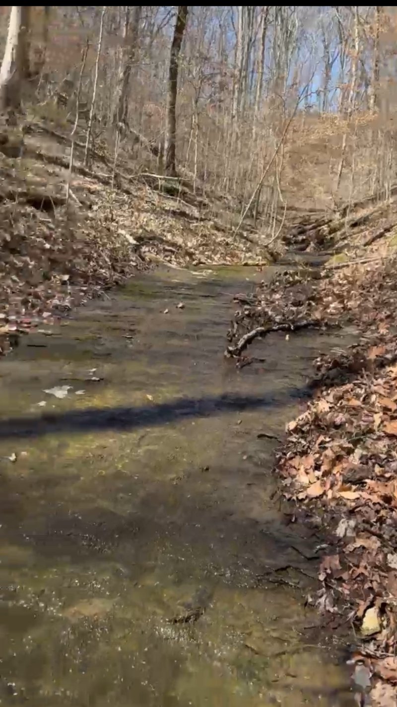 0 Simmons Ct Lot 14, Ashland City, TN 37015