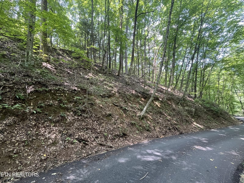 334 Ridgefield Dr Lot 334, Sevierville, TN 37876