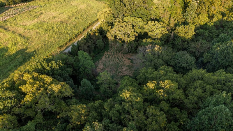 5051 Jones Valley Rd, Williamsport, TN 38487
