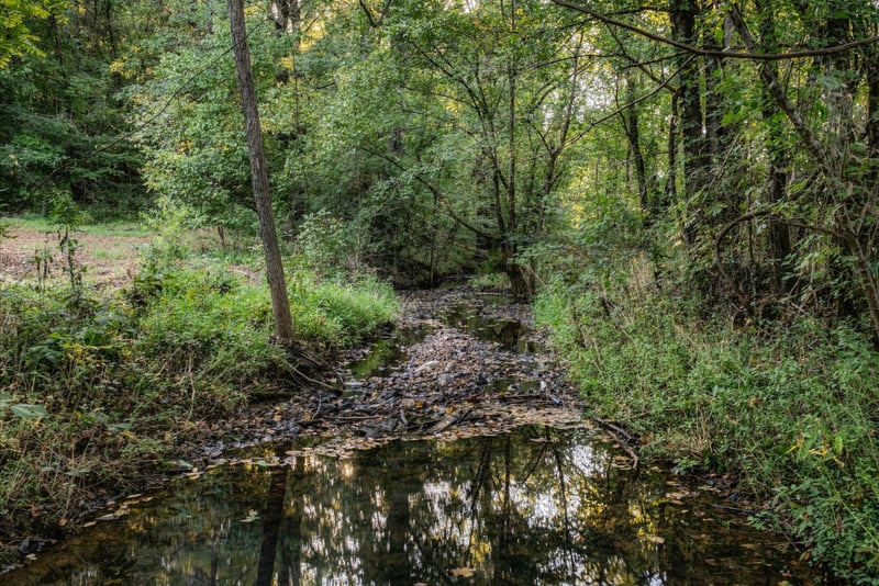 5051 Jones Valley Rd, Williamsport, TN 38487
