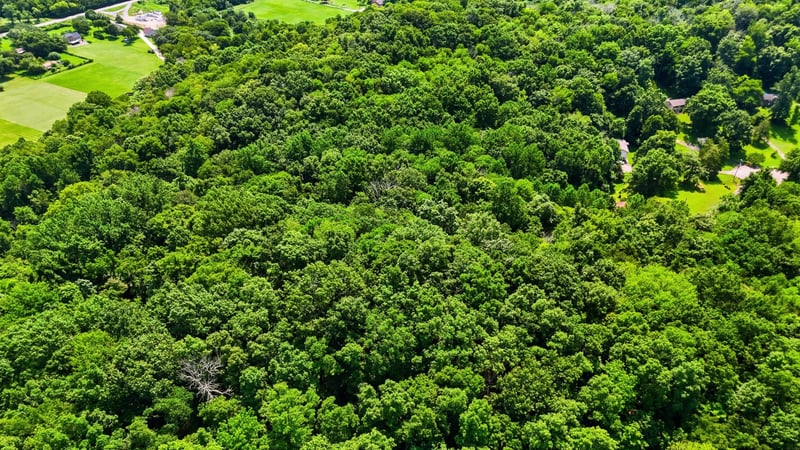0 Whites Creek Pike, Whites Creek, TN 37189