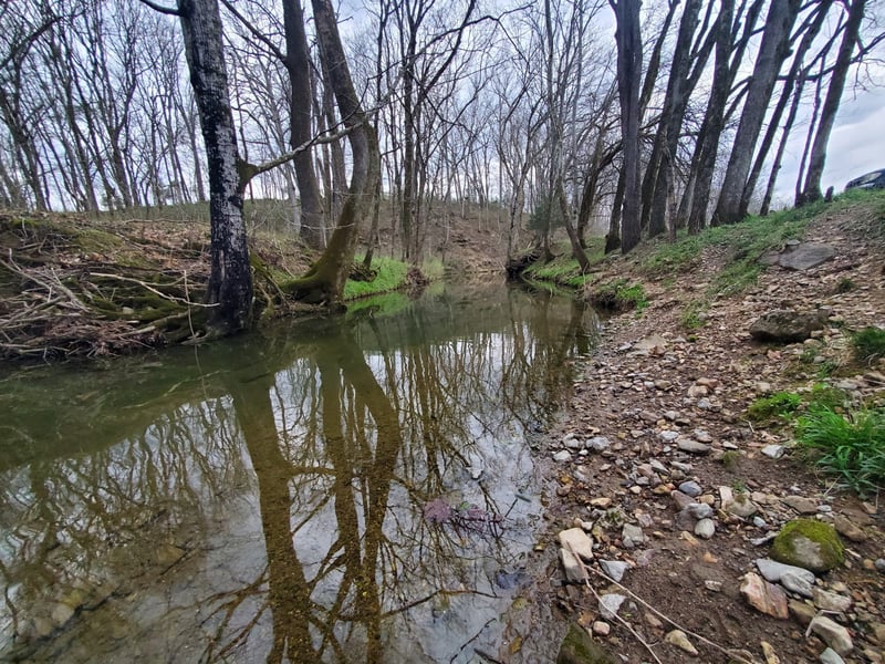 0 Plunkett Creek Rd Lot 4, Gordonsville, TN 38563