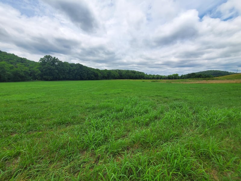 0 Plunkett Creek Rd Lot 4, Gordonsville, TN 38563
