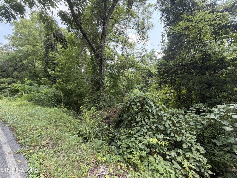 1059 Kellum Creek Rd, Sevierville, TN 37876