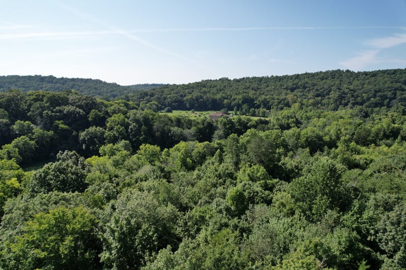 675 Eblen Cave Rd, Lenoir City, TN 37771