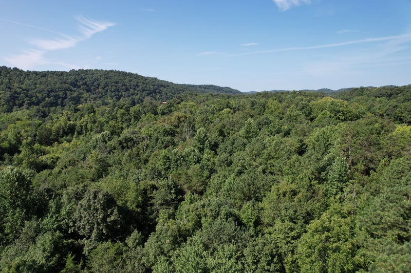 675 Eblen Cave Rd, Lenoir City, TN 37771