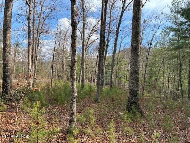 0 Mountain Ash Way Lot 7, Sevierville, TN 37876