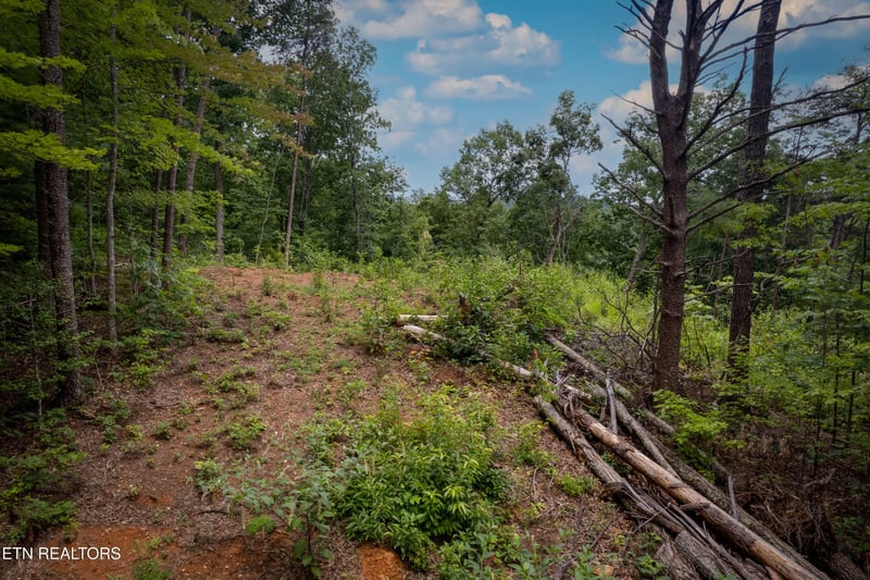 2 Verless Ogle Rd Lot 2, Sevierville, TN 37876