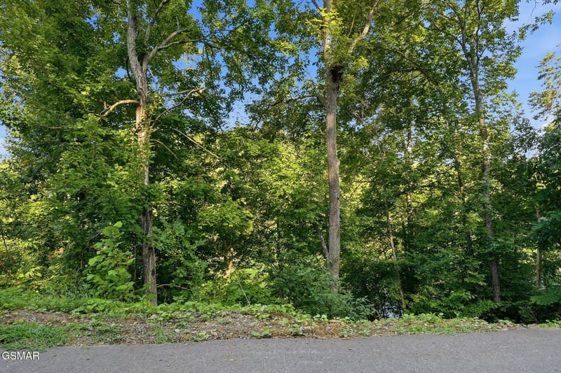 244 Jolene Way Lot 89, Sevierville, TN 37876