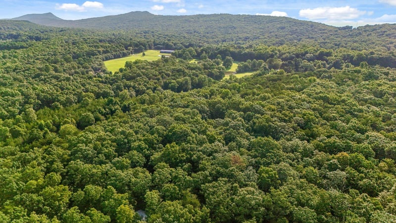 305 Smokey Rg, Rising Fawn, GA 30738