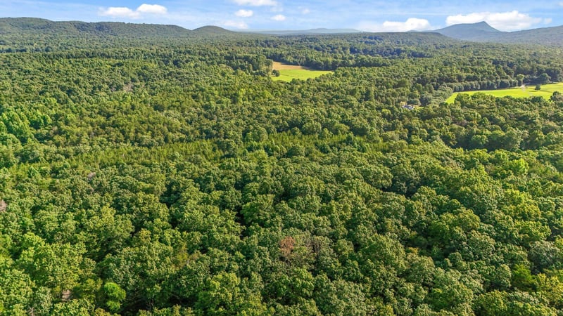 305 Smokey Rg, Rising Fawn, GA 30738