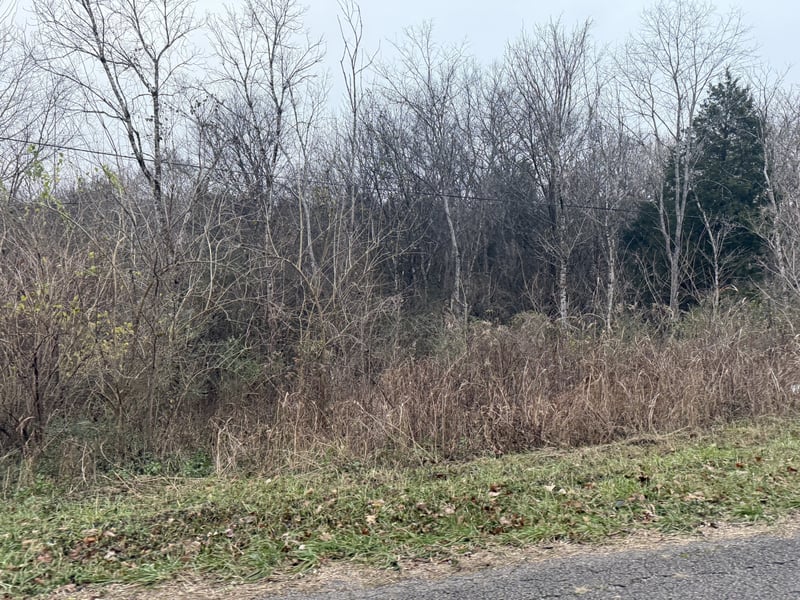 0 Lewis Rd, Santa Fe, TN 38482